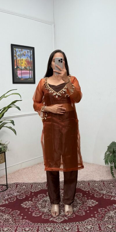 Brown Organza Mirror Lace Work Salwar Suit | Jump Suits, Salwar suit, Casual Suits, Creative suits, Designer Suits, Palazzo Suits, Party Wear Suits, Patiala Suits, Straight Suits