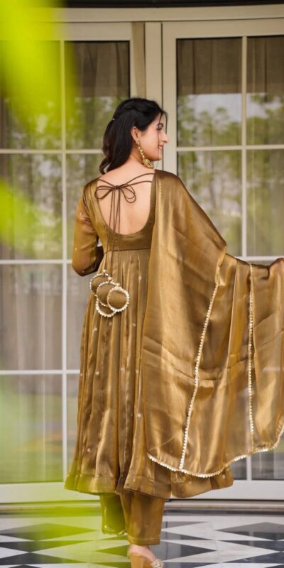 Brown Organza Silk Border Lace Work Salwar Suit | Jump Suits, Salwar suit, Casual Suits, Creative suits, Designer Suits, Palazzo Suits, Party Wear Suits, Patiala Suits, Straight Suits
