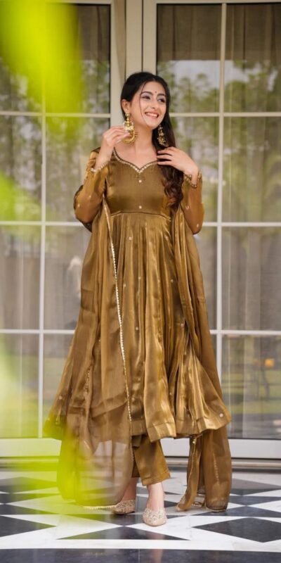 Brown Organza Silk Border Lace Work Salwar Suit | Jump Suits, Salwar suit, Casual Suits, Creative suits, Designer Suits, Palazzo Suits, Party Wear Suits, Patiala Suits, Straight Suits