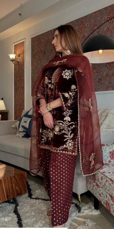 Brown Soft Organza Lace Embroidery Work Salwar Suit | Jump Suits, Tops & Bottoms, Track Suits, Salwar suit, Casual Suits, Creative suits, Designer Suits, Palazzo Suits, Party Wear Suits, Patiala Suits, Straight Suits, Trendy Wear