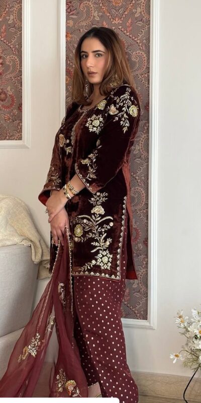 Brown Soft Organza Lace Embroidery Work Salwar Suit | Jump Suits, Tops & Bottoms, Track Suits, Salwar suit, Casual Suits, Creative suits, Designer Suits, Palazzo Suits, Party Wear Suits, Patiala Suits, Straight Suits, Trendy Wear