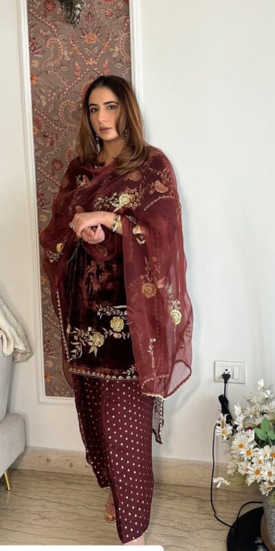 Brown Soft Organza Lace Embroidery Work Salwar Suit | Jump Suits, Tops & Bottoms, Track Suits, Salwar suit, Casual Suits, Creative suits, Designer Suits, Palazzo Suits, Party Wear Suits, Patiala Suits, Straight Suits, Trendy Wear