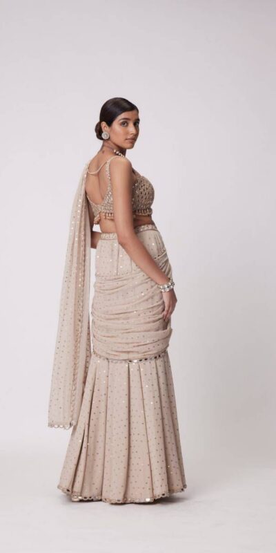 Chiku Faux Georgette Sequins Work Saree | Sarees, Bollywood Sarees, Creative Sarees, Designer Sarees, Embroidered Sarees, Ethnic Saree, Modern Digital sarees, Party Wear Sarees