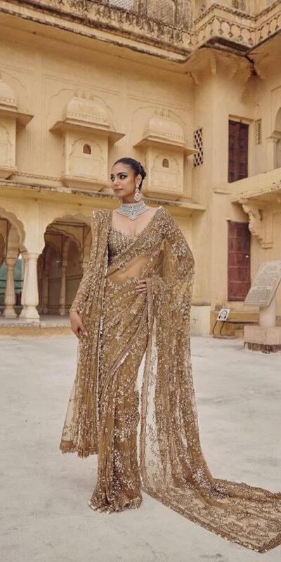 Chiku Mono Net Sequence Saree | Sarees, Bollywood Sarees, Creative Sarees, Designer Sarees, Embroidered Sarees, Ethnic Saree, Modern Digital sarees, Party Wear Sarees