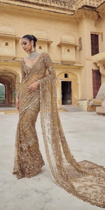 Chiku Mono Net Sequence Saree | Sarees, Bollywood Sarees, Creative Sarees, Designer Sarees, Embroidered Sarees, Ethnic Saree, Modern Digital sarees, Party Wear Sarees