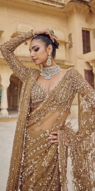 Chiku Mono Net Sequence Saree | Sarees, Bollywood Sarees, Creative Sarees, Designer Sarees, Embroidered Sarees, Ethnic Saree, Modern Digital sarees, Party Wear Sarees