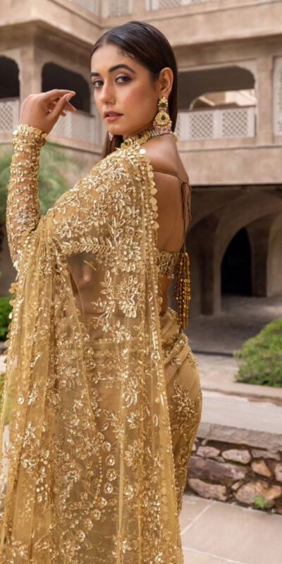 Chiku Nylon Butterfly Net Border Lace Work Saree | Sarees, Bollywood Sarees, Creative Sarees, Designer Sarees, Embroidered Sarees, Ethnic Saree, Modern Digital sarees, Party Wear Sarees