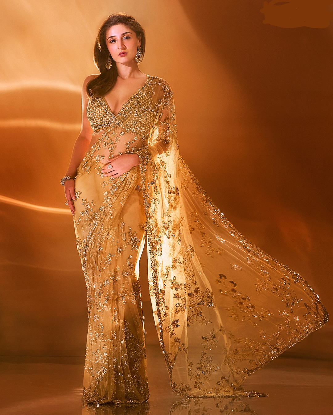 Chiku Nylon Butterfly Net Border Lace Work Saree | Sarees, Bollywood Sarees, Creative Sarees, Designer Sarees, Embroidered Sarees, Ethnic Saree, Modern Digital sarees, Party Wear Sarees