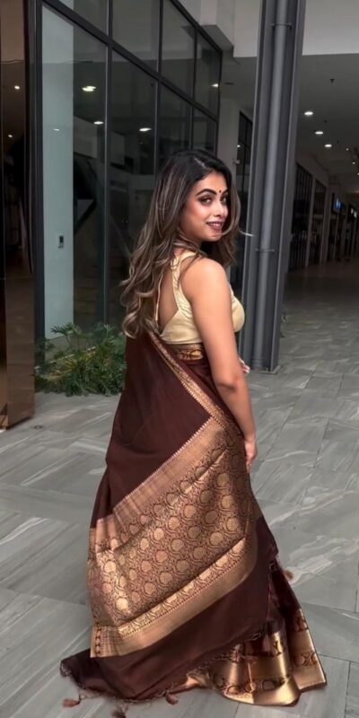 Classic Brown Lichi Silk Jacquard Work Saree | Sarees, Bollywood Sarees, Creative Sarees, Designer Sarees, Embroidered Sarees, Ethnic Saree, Modern Digital sarees, Party Wear Sarees