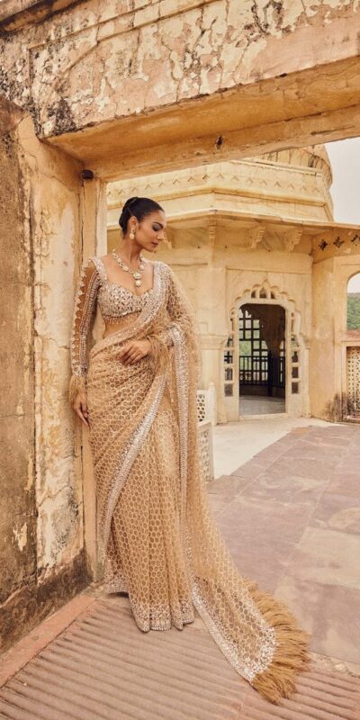 Cream Butterfly Net With Embroidery Work Saree | Sarees, Bollywood Sarees, Creative Sarees, Designer Sarees, Embroidered Sarees, Ethnic Saree, Modern Digital sarees, Party Wear Sarees