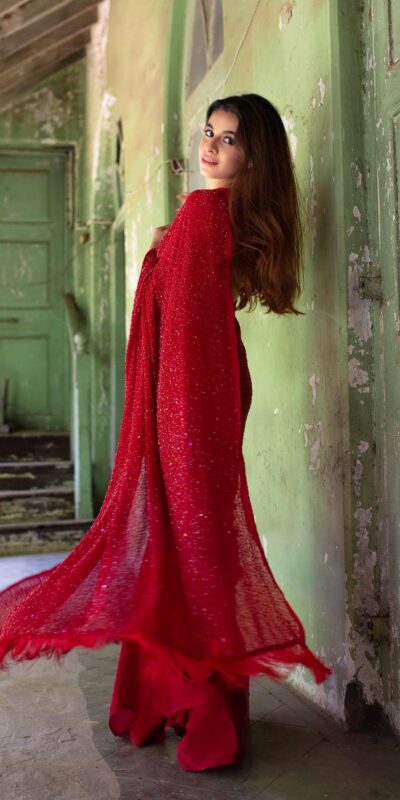 Divinely Red Brand Sequins Embellished Saree | Sarees, Bollywood Sarees, Creative Sarees, Designer Sarees, Embroidered Sarees, Ethnic Saree, Party Wear Sarees