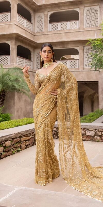 Golden Mono Net Embroidery Work Saree | Sarees, Bollywood Sarees, Creative Sarees, Designer Sarees, Embroidered Sarees, Ethnic Saree, Modern Digital sarees, Party Wear Sarees