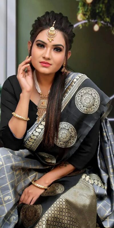 Grey Lichi Silk On All Over Border Saree | Sarees, Bollywood Sarees, Creative Sarees, Designer Sarees, Embroidered Sarees, Ethnic Saree, Modern Digital sarees, Party Wear Sarees