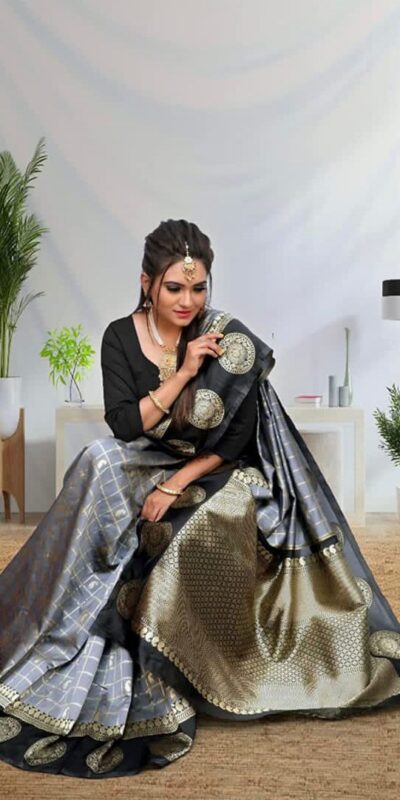 Grey Lichi Silk On All Over Border Saree | Sarees, Bollywood Sarees, Creative Sarees, Designer Sarees, Embroidered Sarees, Ethnic Saree, Modern Digital sarees, Party Wear Sarees