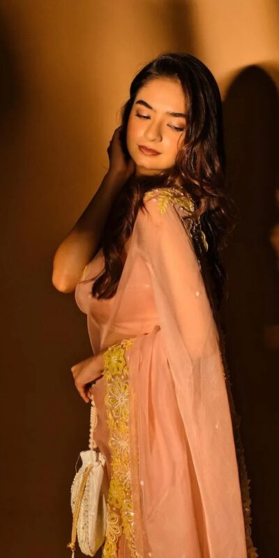 Light Peach Soft Organza Sequence Zari Work Saree | Sarees, Bollywood Sarees, Creative Sarees, Designer Sarees, Embroidered Sarees, Ethnic Saree, Modern Digital sarees, Party Wear Sarees