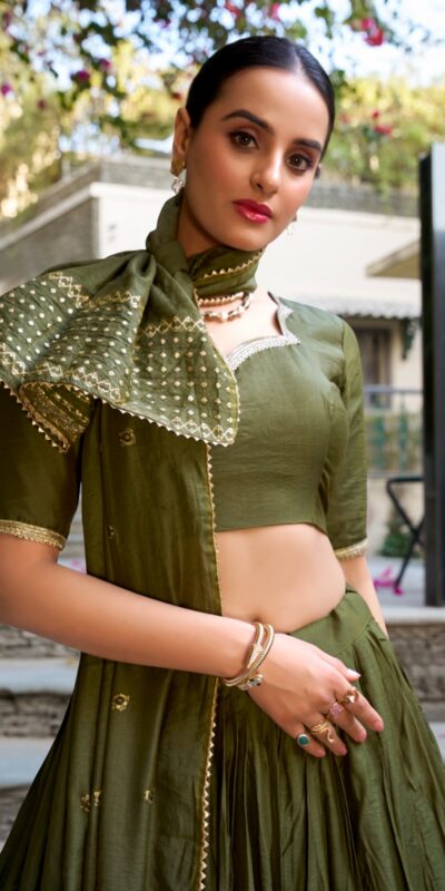 Mehndi Chanderi Plain With Zari Weaving Work Border Lehenga Choli | Lehenga, Bollywood Lehenga, Creative Lehenga, Designer Lehenga, Embroidered Lehenga, Party Wear Lehenga