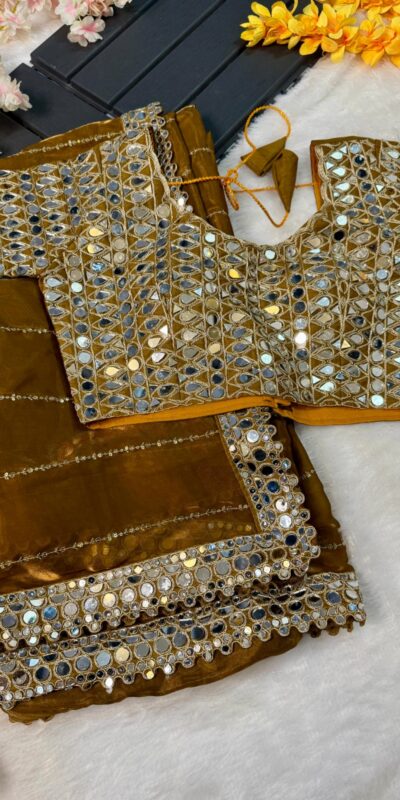 Mustered Organza Silk Mirror Embroidery Work Saree | Sarees, Bollywood Sarees, Creative Sarees, Designer Sarees, Embroidered Sarees, Ethnic Saree, Modern Digital sarees, Party Wear Sarees