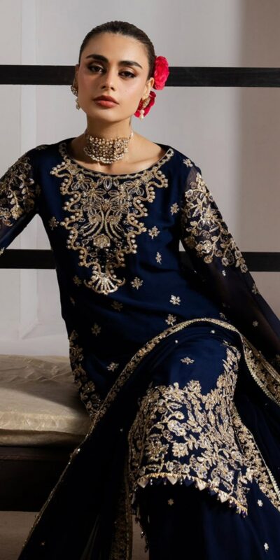 Navy Blue Organza Silk Sequence Work Salwar Suit | Jump Suits, Salwar suit, Casual Suits, Creative suits, Designer Suits, Palazzo Suits, Party Wear Suits, Patiala Suits, Straight Suits