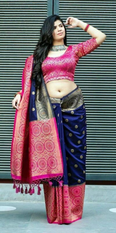 Navy Blue Soft Lichi Silk All Over Border Saree | Sarees, Bollywood Sarees, Creative Sarees, Designer Sarees, Embroidered Sarees, Ethnic Saree, Modern Digital sarees, Party Wear Sarees