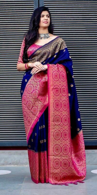 Navy Blue Soft Lichi Silk All Over Border Saree | Sarees, Bollywood Sarees, Creative Sarees, Designer Sarees, Embroidered Sarees, Ethnic Saree, Modern Digital sarees, Party Wear Sarees