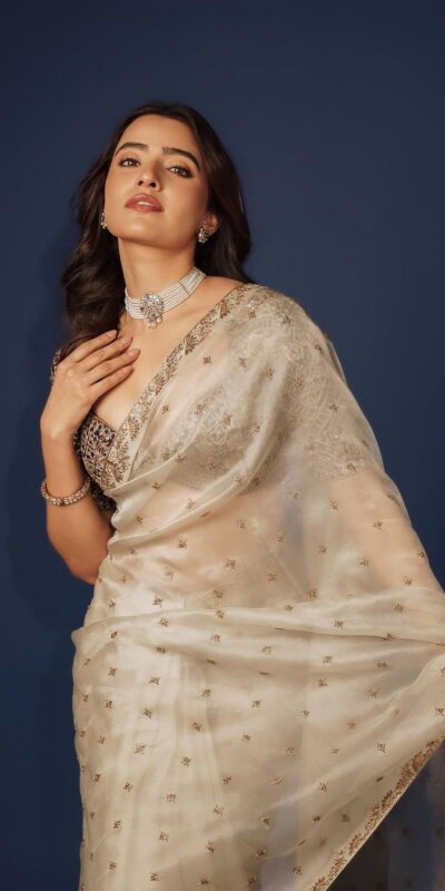 Off White Soft TB Organza Lace Zari Work Saree | Sarees, Bollywood Sarees, Creative Sarees, Designer Sarees, Embroidered Sarees, Ethnic Saree, Modern Digital sarees, Party Wear Sarees