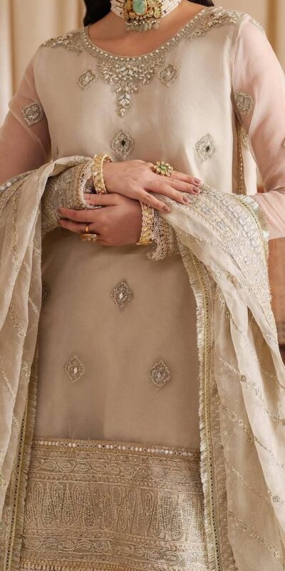 Off White Tabby Organza Embroidery Work Salwar Suit | Jump Suits, Salwar suit, Casual Suits, Creative suits, Designer Suits, Palazzo Suits, Party Wear Suits, Patiala Suits, Straight Suits