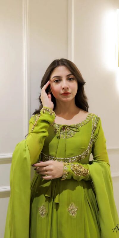 Parrot Green Georgette Embroidery Work Gown | Gowns, Bollywood Gowns, Creative Gowns, Designer Gowns, Embroidered Gowns, Party Wear Gowns