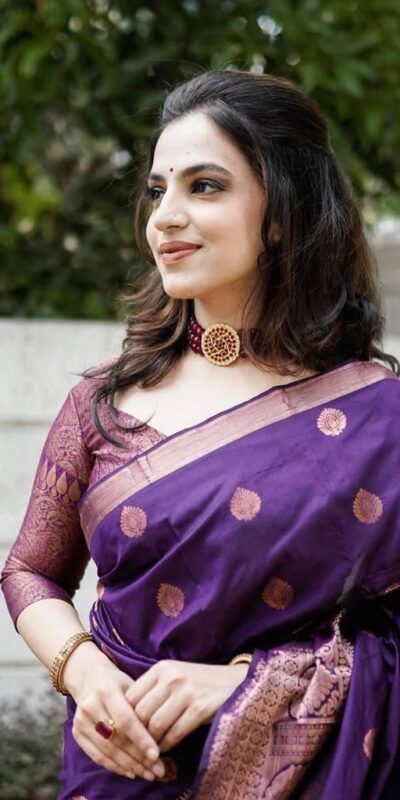 Purple Lichi Silk Rich Pallu Work Border Saree | Sarees, Bollywood Sarees, Creative Sarees, Designer Sarees, Embroidered Sarees, Ethnic Saree, Modern Digital sarees, Party Wear Sarees