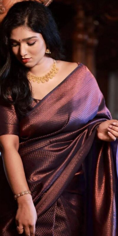 Purple Soft Lichi Silk Border Saree | Sarees, Bollywood Sarees, Creative Sarees, Designer Sarees, Embroidered Sarees, Ethnic Saree, Modern Digital sarees, Party Wear Sarees