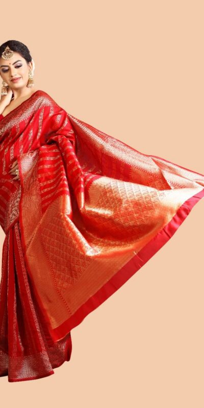 Red Lichi Silk On All Over Border Saree | Sarees, Bollywood Sarees, Creative Sarees, Designer Sarees, Embroidered Sarees, Ethnic Saree, Modern Digital sarees, Party Wear Sarees