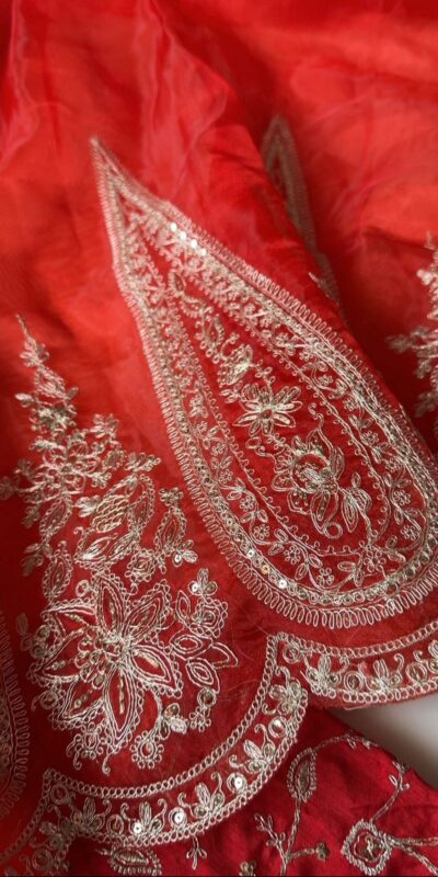 Red Organza Tissue Sequins Work Embroidery Saree | Sarees, Bollywood Sarees, Creative Sarees, Designer Sarees, Embroidered Sarees, Ethnic Saree, Modern Digital sarees, Party Wear Sarees