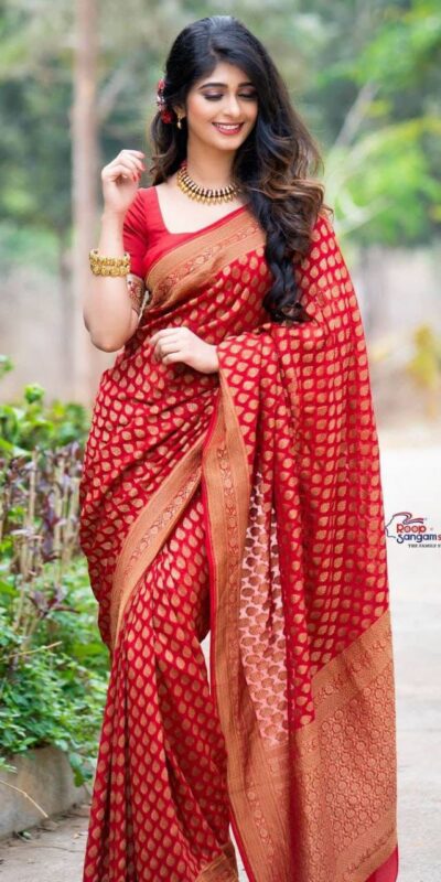 Red Soft Lichi Silk Jacquard Work Saree | Sarees, Bollywood Sarees, Creative Sarees, Designer Sarees, Embroidered Sarees, Ethnic Saree, Modern Digital sarees, Party Wear Sarees