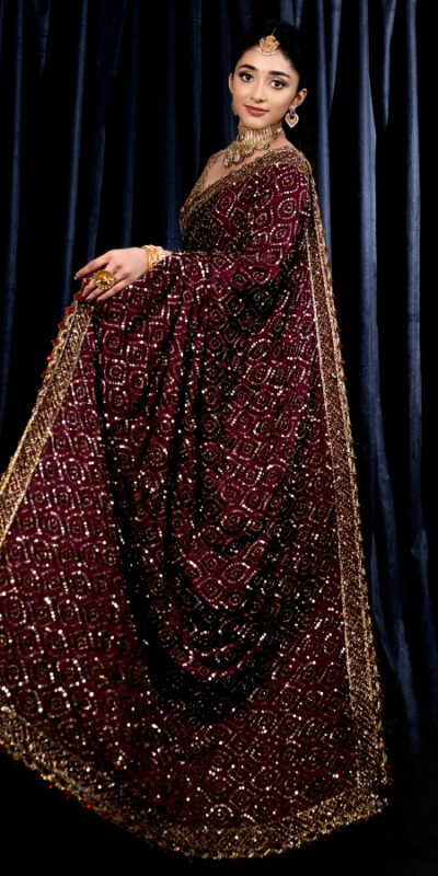 Wine Kasturi Silk Georgette Zari Work Saree | Sarees, Bollywood Sarees, Creative Sarees, Designer Sarees, Embroidered Sarees, Ethnic Saree, Modern Digital sarees, Party Wear Sarees