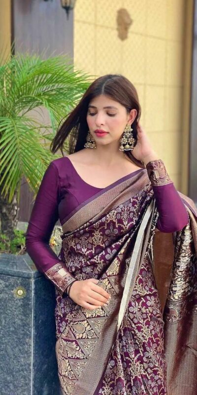Wine Soft Silk Jacquard Saree | Sarees, Bollywood Sarees, Creative Sarees, Designer Sarees, Embroidered Sarees, Ethnic Saree, Modern Digital sarees, Party Wear Sarees