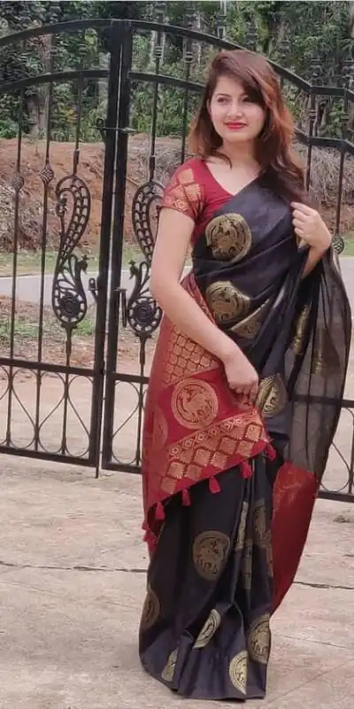 Black Soft Lichi Silk With Lace Work Saree | Sarees, Bollywood Sarees, Creative Sarees, Designer Sarees, Embroidered Sarees, Ethnic Saree, Modern Digital sarees, Party Wear Sarees