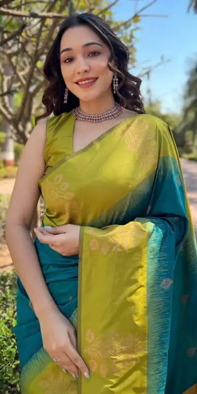 Blue Lichi Silk Jacquard Saree | Sarees, Bollywood Sarees, Creative Sarees, Designer Sarees, Embroidered Sarees, Ethnic Saree, Modern Digital sarees, Party Wear Sarees