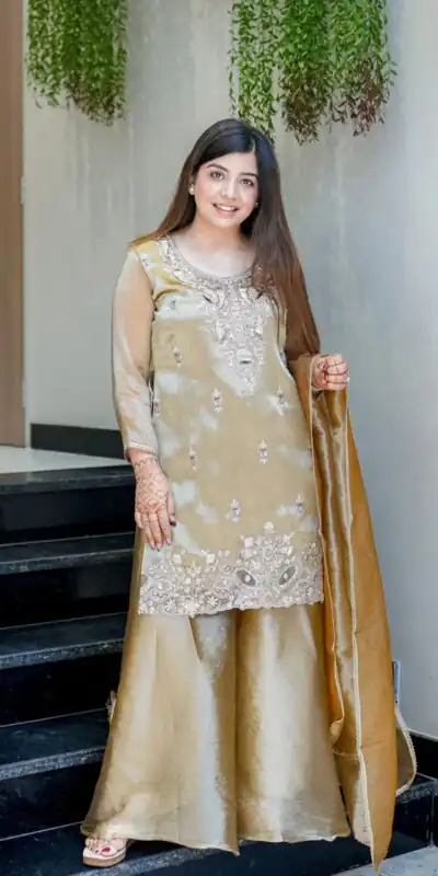 Brown Jimmy Choo Embroidery Lace Work Salwar Suit | Jump Suits, Salwar suit, Casual Suits, Creative suits, Designer Suits, Palazzo Suits, Party Wear Suits, Patiala Suits, Straight Suits