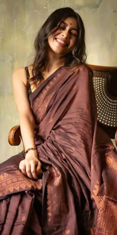 Brown Soft Lichi Silk Border Lace Saree | Sarees, Bollywood Sarees, Creative Sarees, Designer Sarees, Embroidered Sarees, Ethnic Saree, Modern Digital sarees, Party Wear Sarees