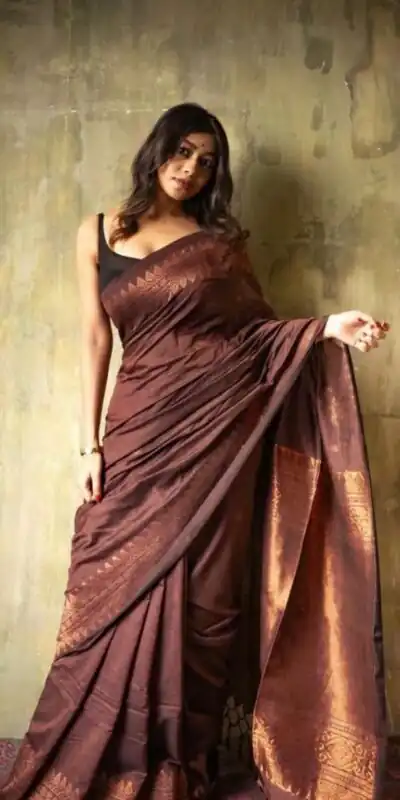 Brown Soft Lichi Silk Border Lace Saree | Sarees, Bollywood Sarees, Creative Sarees, Designer Sarees, Embroidered Sarees, Ethnic Saree, Modern Digital sarees, Party Wear Sarees