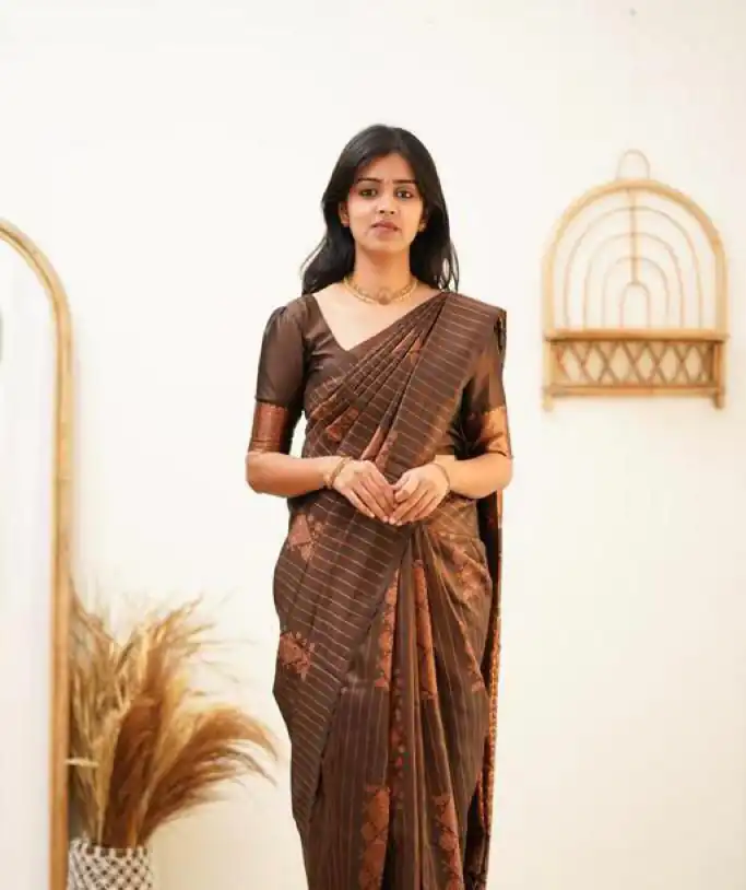 Brown Soft Lichi Silk With Lace Work Saree | Sarees, Bollywood Sarees, Creative Sarees, Designer Sarees, Embroidered Sarees, Ethnic Saree, Modern Digital sarees, Party Wear Sarees