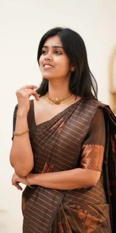 Brown Soft Lichi Silk With Lace Work Saree | Sarees, Bollywood Sarees, Creative Sarees, Designer Sarees, Embroidered Sarees, Ethnic Saree, Modern Digital sarees, Party Wear Sarees