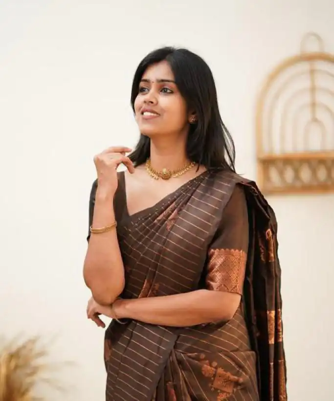 Brown Soft Lichi Silk With Lace Work Saree | Sarees, Bollywood Sarees, Creative Sarees, Designer Sarees, Embroidered Sarees, Ethnic Saree, Modern Digital sarees, Party Wear Sarees