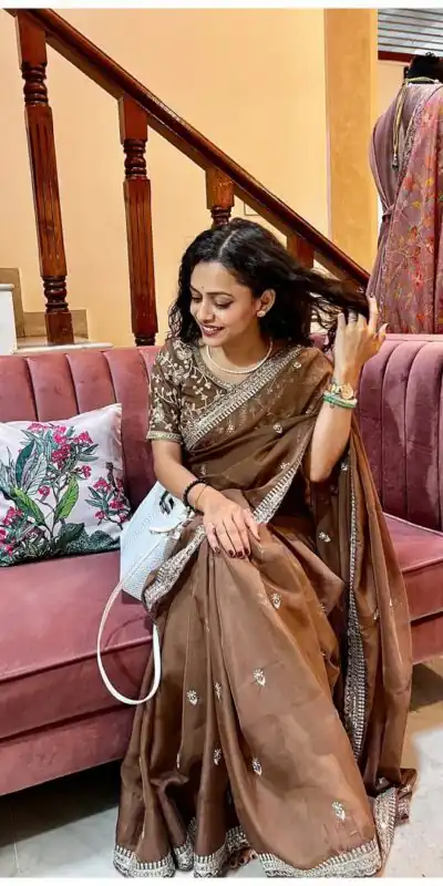 Brown Soft Organza Zari Embroidery Work Saree | Sarees, Bollywood Sarees, Creative Sarees, Designer Sarees, Embroidered Sarees, Ethnic Saree, Modern Digital sarees, Party Wear Sarees