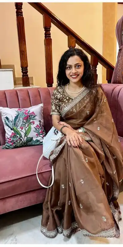 Brown Soft Organza Zari Embroidery Work Saree | Sarees, Bollywood Sarees, Creative Sarees, Designer Sarees, Embroidered Sarees, Ethnic Saree, Modern Digital sarees, Party Wear Sarees
