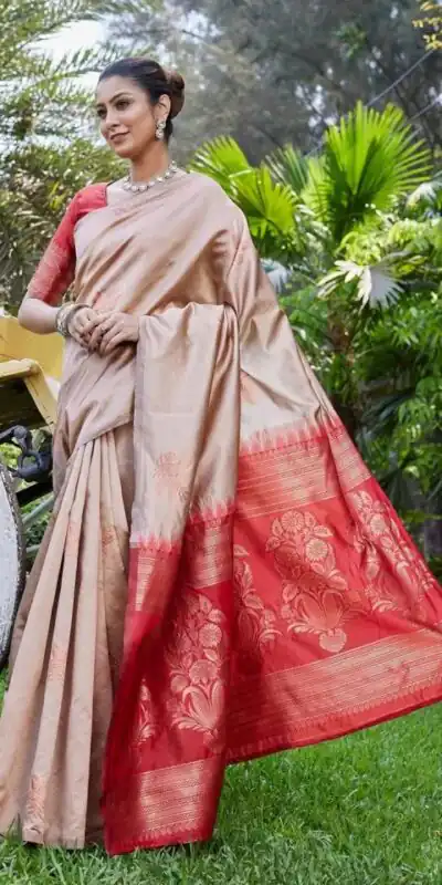 Chiku Lichi Silk Lace Border Saree | Sarees, Bollywood Sarees, Creative Sarees, Designer Sarees, Embroidered Sarees, Ethnic Saree, Modern Digital sarees, Party Wear Sarees
