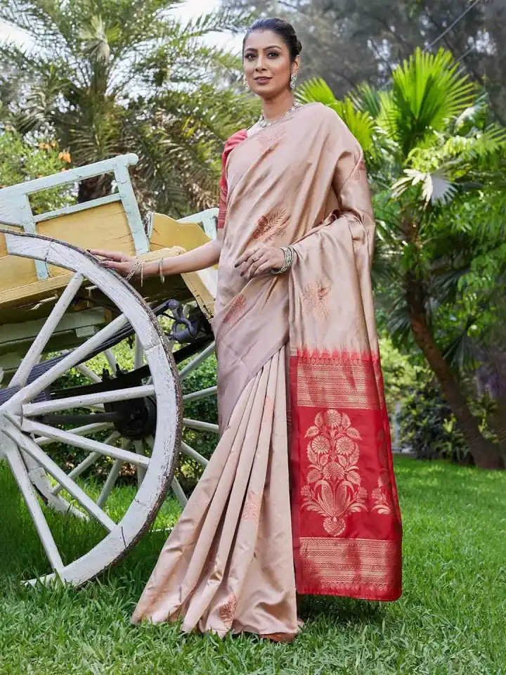 Chiku Lichi Silk Lace Border Saree | Sarees, Bollywood Sarees, Creative Sarees, Designer Sarees, Embroidered Sarees, Ethnic Saree, Modern Digital sarees, Party Wear Sarees