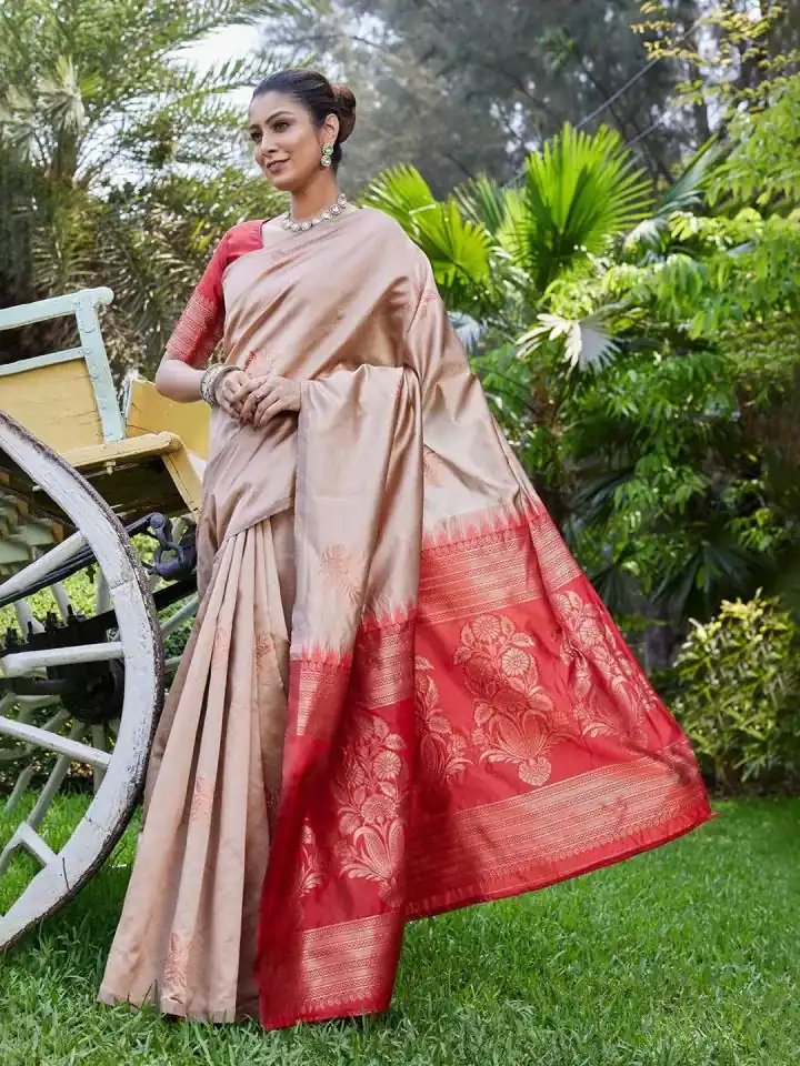 Chiku Lichi Silk Lace Border Saree | Sarees, Bollywood Sarees, Creative Sarees, Designer Sarees, Embroidered Sarees, Ethnic Saree, Modern Digital sarees, Party Wear Sarees