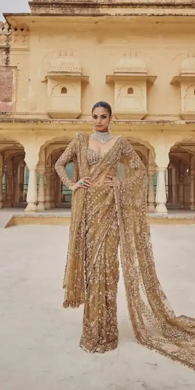 Chiku Mono Net Sequence Saree | Sarees, Bollywood Sarees, Creative Sarees, Designer Sarees, Embroidered Sarees, Ethnic Saree, Modern Digital sarees, Party Wear Sarees