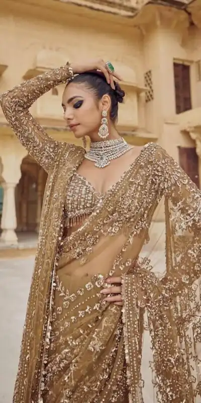 Chiku Mono Net Sequence Saree | Sarees, Bollywood Sarees, Creative Sarees, Designer Sarees, Embroidered Sarees, Ethnic Saree, Modern Digital sarees, Party Wear Sarees