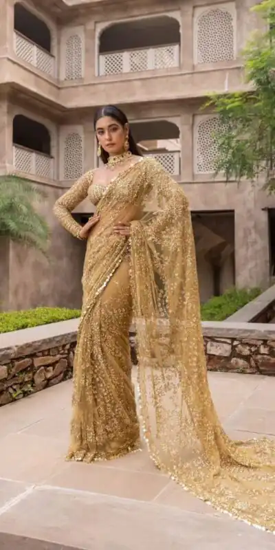 Chiku Nylon Butterfly Net Border Lace Work Saree | Sarees, Bollywood Sarees, Creative Sarees, Designer Sarees, Embroidered Sarees, Ethnic Saree, Modern Digital sarees, Party Wear Sarees
